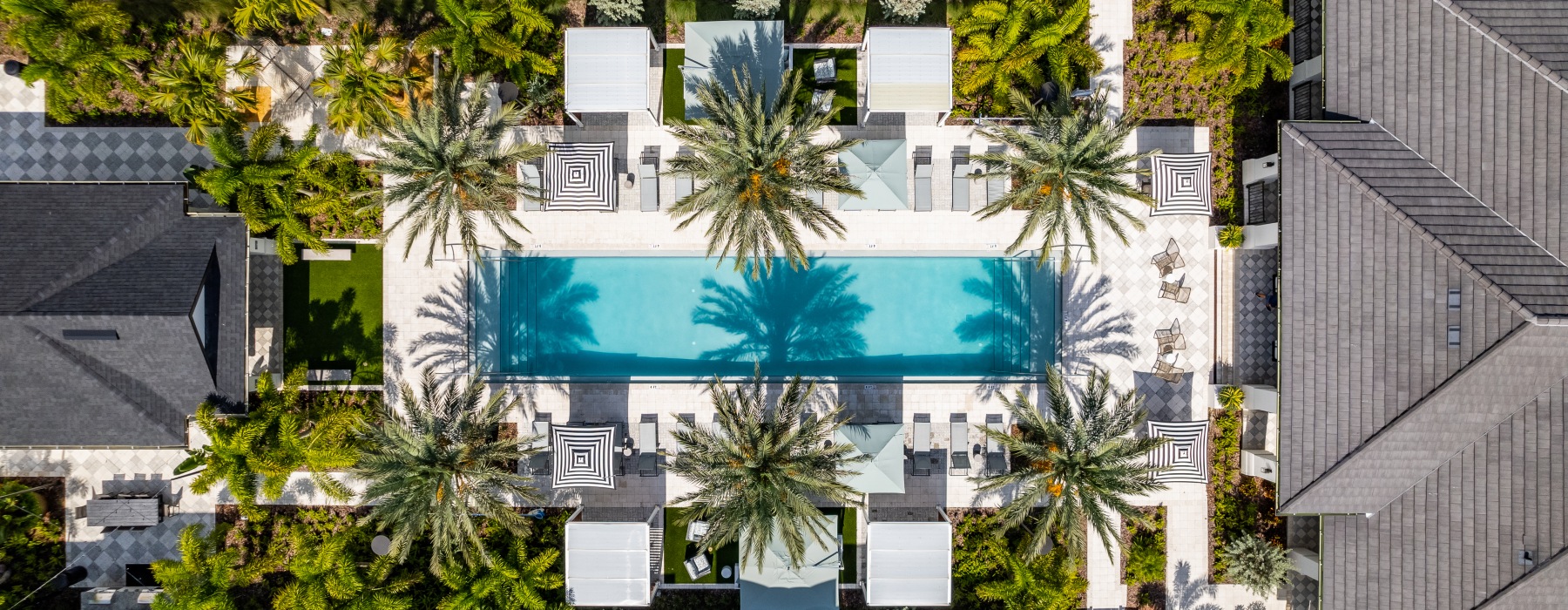 aerial view of a swimming pool