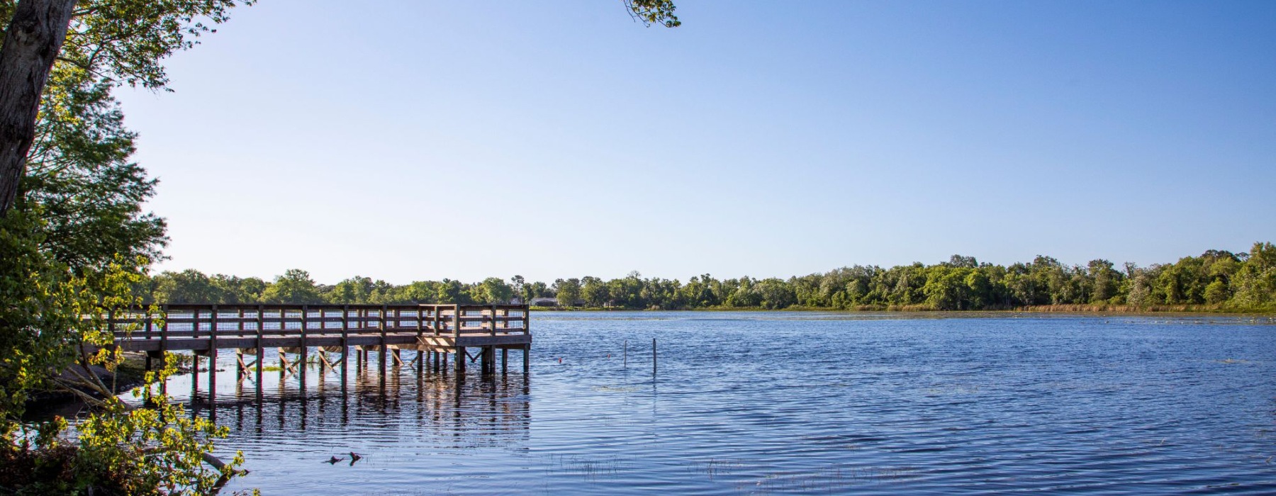 view of a lake and a dock with trees in the background