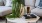 a coffee table with a plant on it at Jefferson Lake Howel Apartments in Casselberry, FL